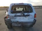 2004 Ford Escape XLT