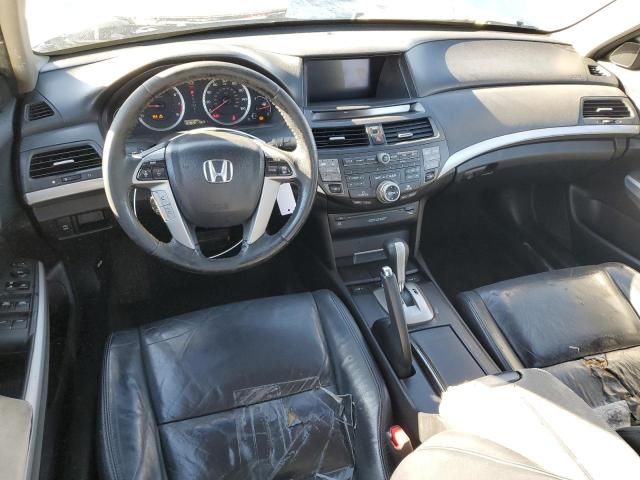 2009 Honda Accord EXL