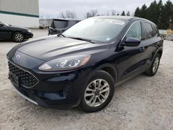 Ford salvage cars for sale: 2021 Ford Escape SE