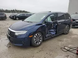 Salvage cars for sale at Franklin, WI auction: 2024 Honda Odyssey EXL