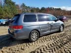 2010 Honda Odyssey EX