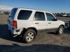 2006 Ford Escape XLT