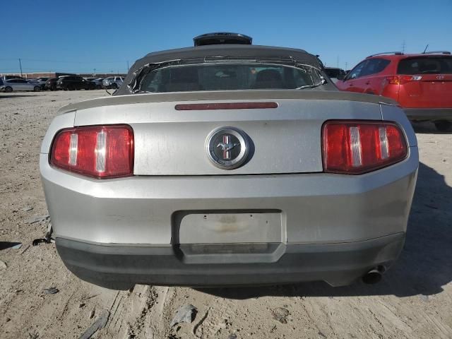 2010 Ford Mustang