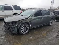 Salvage cars for sale at Windsor, NJ auction: 2013 Honda Accord Sport