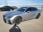 2023 Lexus IS 350 F Sport Design