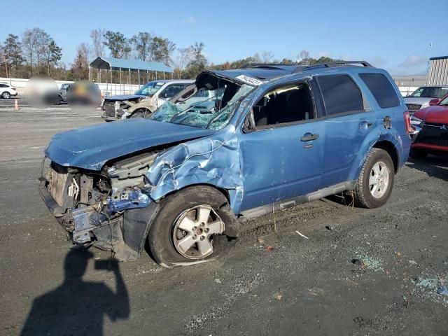 2009 Ford Escape XLT