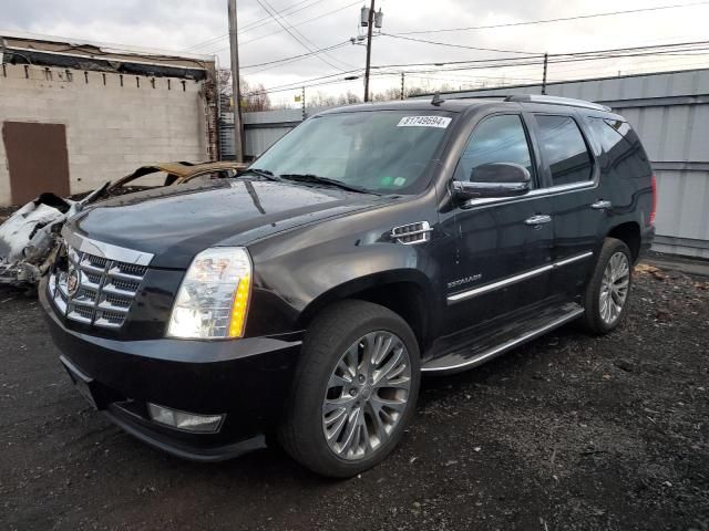 2010 Cadillac Escalade Luxury