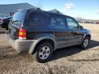 2001 Ford Escape XLT