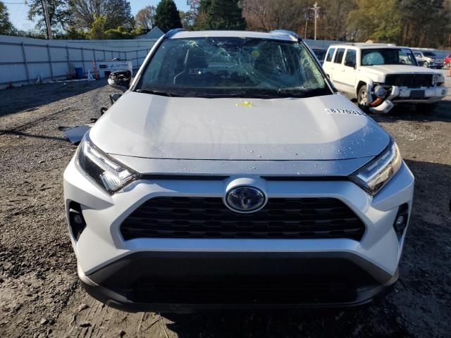 2023 Toyota Rav4 XLE Premium