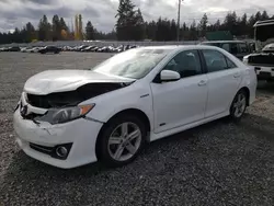 Toyota Vehiculos salvage en venta: 2014 Toyota Camry Hybrid