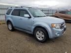 2008 Ford Escape HEV