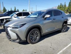 Lexus salvage cars for sale: 2024 Lexus NX 350H Base