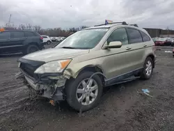 Salvage cars for sale at New Britain, CT auction: 2007 Honda CR-V EXL