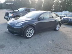 Tesla salvage cars for sale: 2021 Tesla Model Y