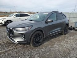 Salvage cars for sale at Ottawa, ON auction: 2023 Ford Escape ST Line Elite