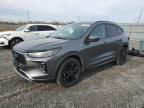 2023 Ford Escape ST Line Elite