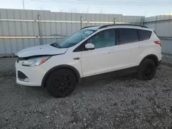 Ford Vehiculos salvage en venta: 2016 Ford Escape SE