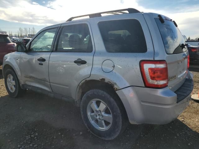 2008 Ford Escape XLT