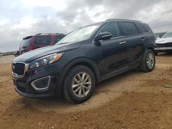 Salvage cars for sale at San Antonio, TX auction: 2018 KIA Sorento LX