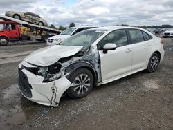 Toyota salvage cars for sale: 2021 Toyota Corolla LE