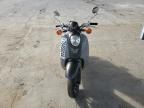 2009 Honda CHF50 S