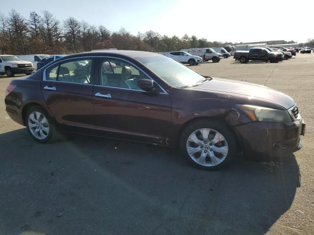 2010 Honda Accord EXL