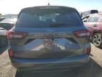 2023 Ford Escape ST Line