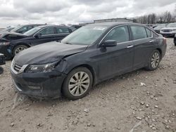 Honda salvage cars for sale: 2014 Honda Accord EXL