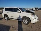 2014 Lexus GX 460