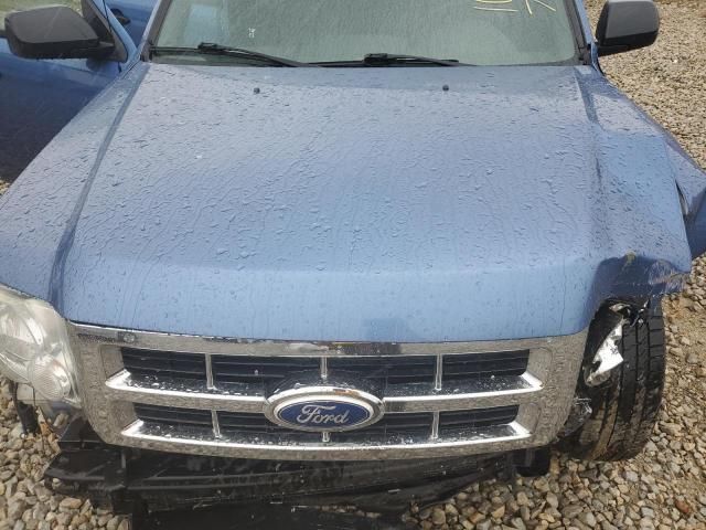 2010 Ford Escape XLT