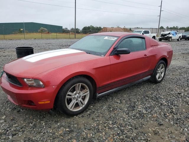 2010 Ford Mustang