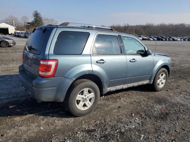 2010 Ford Escape Limited