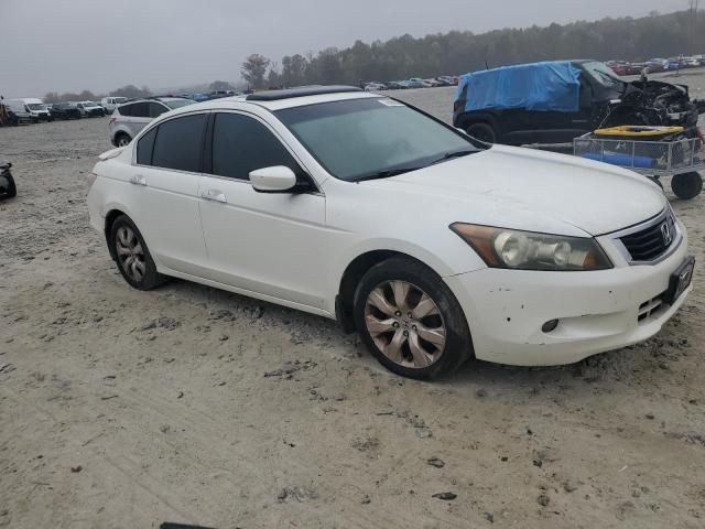 2008 Honda Accord EXL