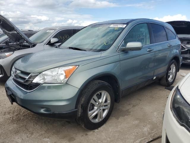 2010 Honda CR-V EXL