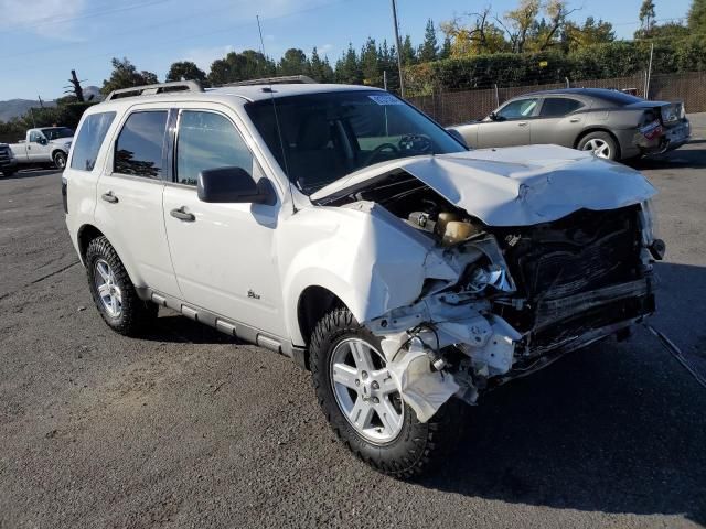 2009 Ford Escape Hybrid