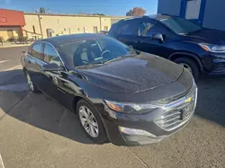 Salvage cars for sale at New Britain, CT auction: 2019 Chevrolet Malibu LT