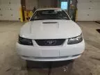 2001 Ford Mustang