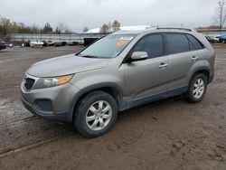 KIA Vehiculos salvage en venta: 2011 KIA Sorento Base