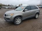 2011 KIA Sorento Base