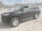 2020 Toyota 4runner SR5/SR5 Premium