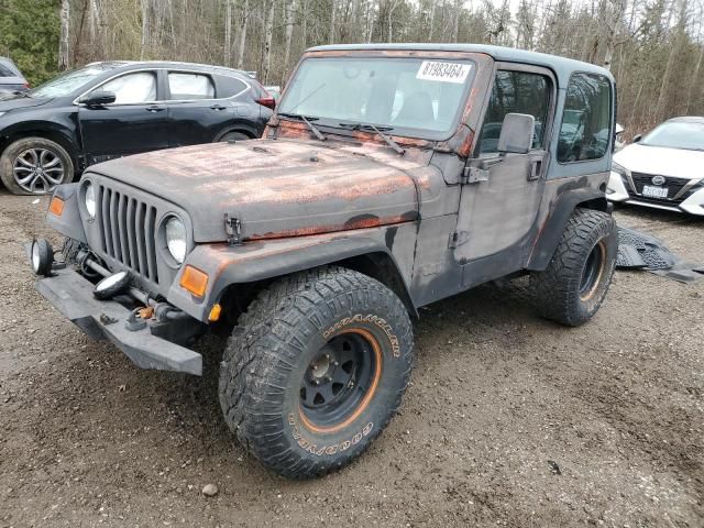 1997 Jeep Wrangler / TJ Sahara