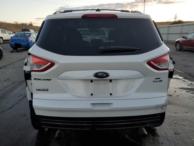 2013 Ford Escape SE