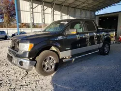 Salvage cars for sale at Rogersville, MO auction: 2014 Ford F150 Supercrew