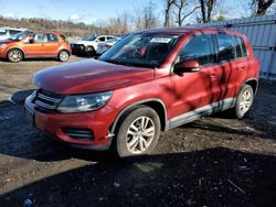 Volkswagen salvage cars for sale: 2013 Volkswagen Tiguan S