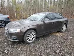 Salvage cars for sale at Cookstown, ON auction: 2013 Audi A4 Premium