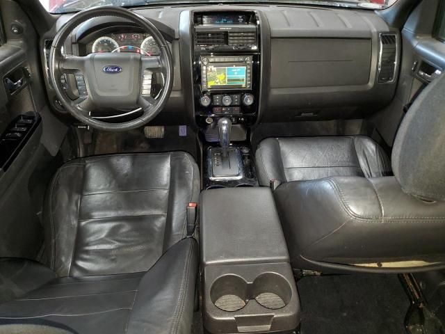 2010 Ford Escape Limited