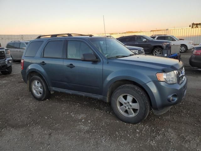 2011 Ford Escape XLT