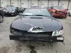 2000 Ford Mustang