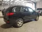 2007 Hyundai Santa FE SE