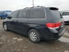 2008 Honda Odyssey EXL